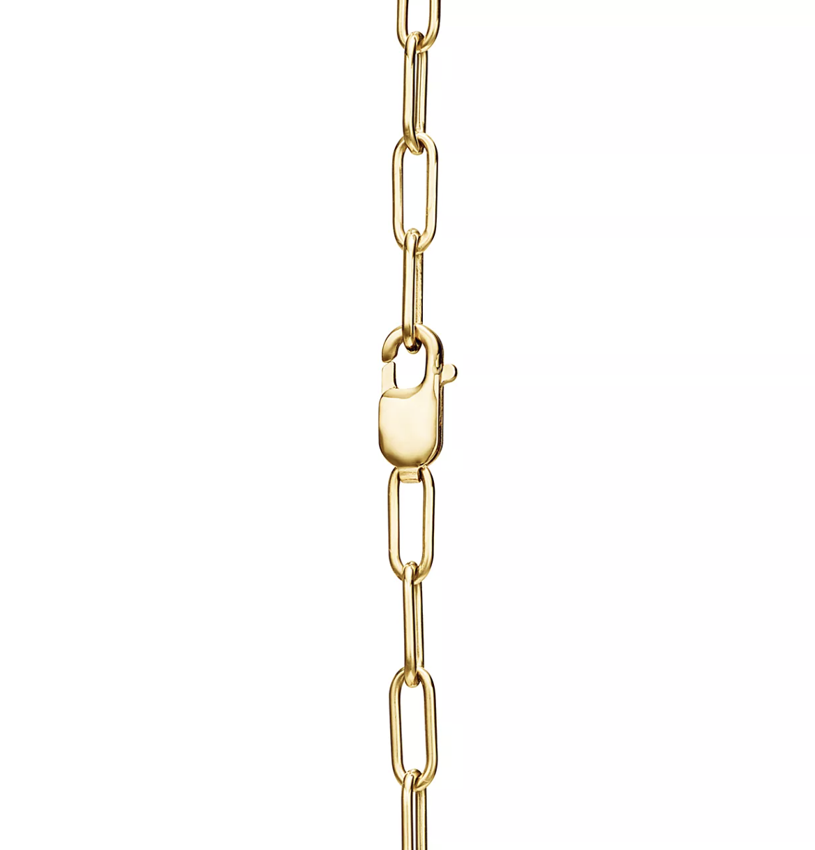 [Renovia Jewelry]LOCK NECKLACE GOLD